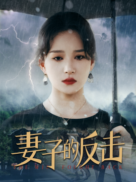 妻子的反击封面图