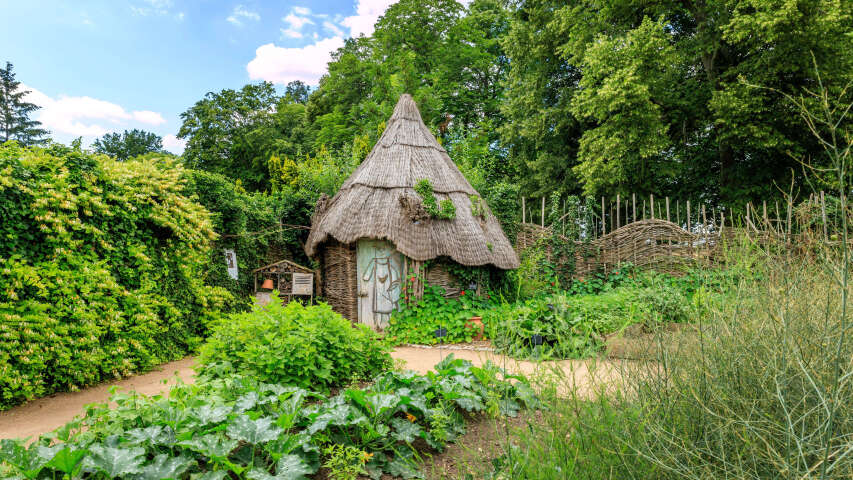 花园中间有一间茅草屋顶的小小屋