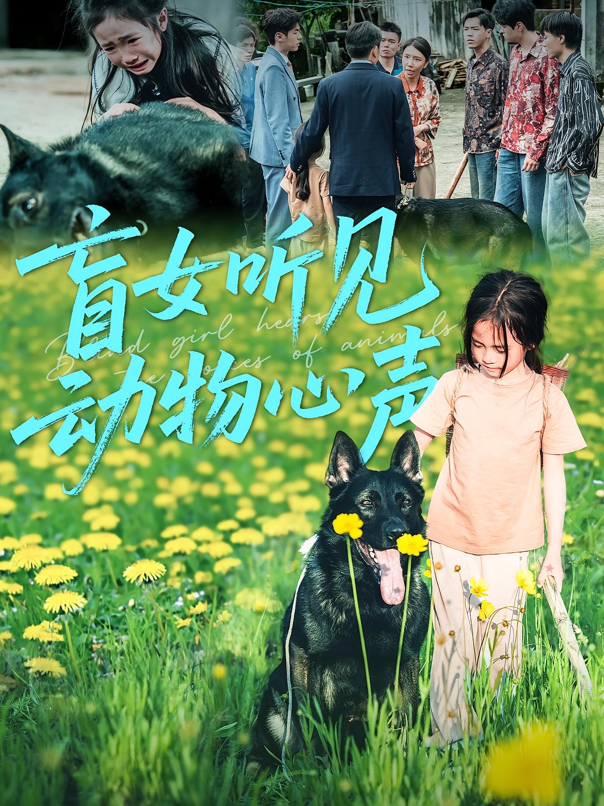 盲女听见动物心声封面图