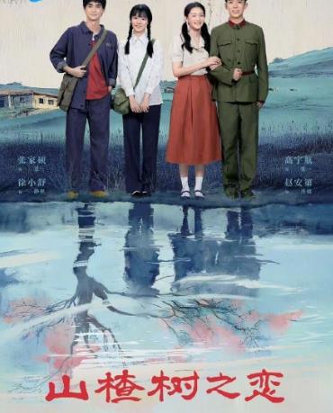 山楂树之恋封面图