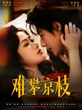 难攀京枝封面图