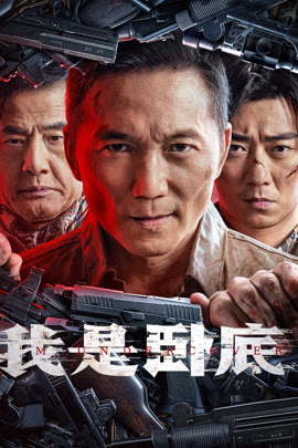 我是卧底封面图