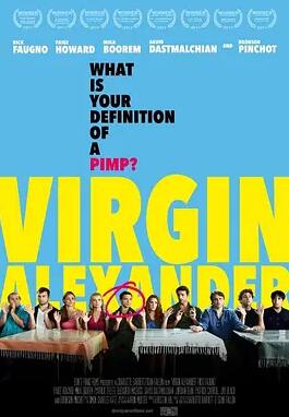 新手亚历山大封面图