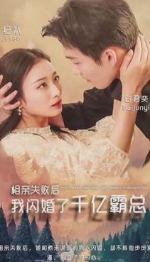 相亲失败,我闪婚了个千亿霸总封面图