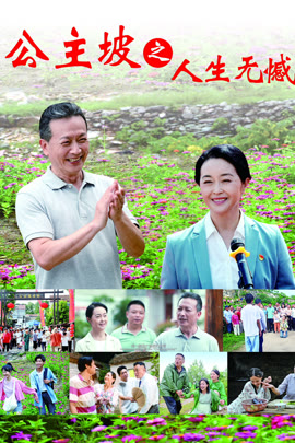 公主坡之人生无憾封面图