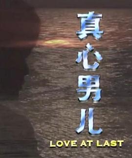真心男儿封面图