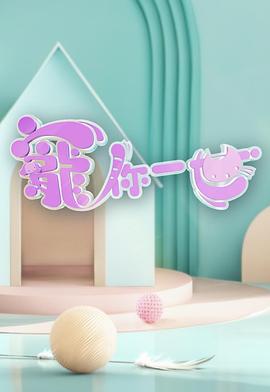 宠你一世粤语封面图