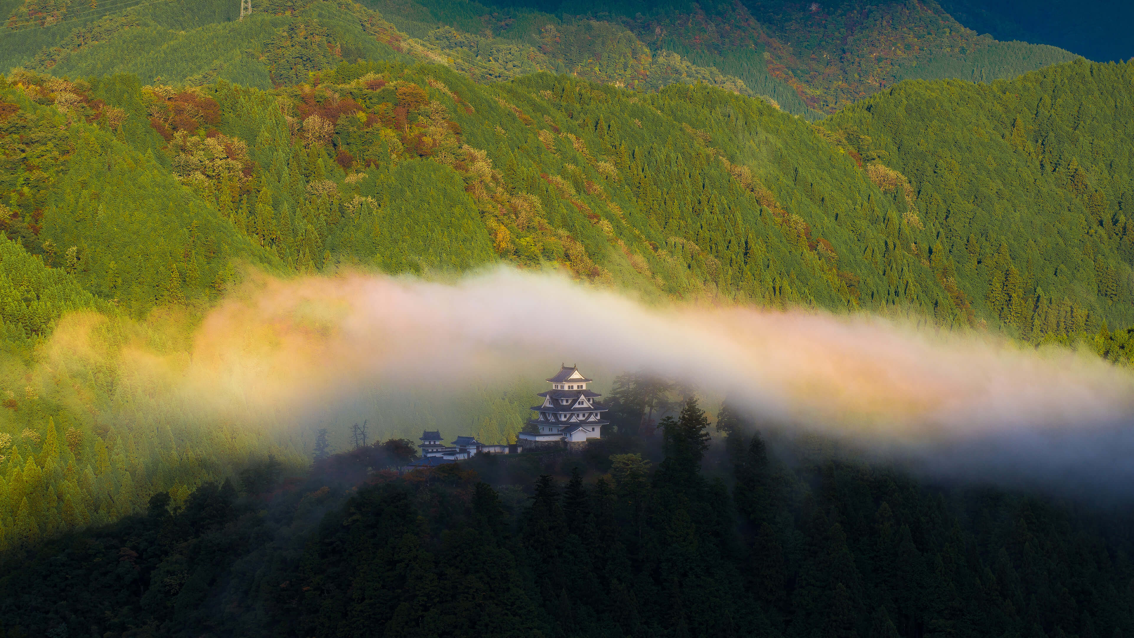 山上有一座大建筑，树木很多