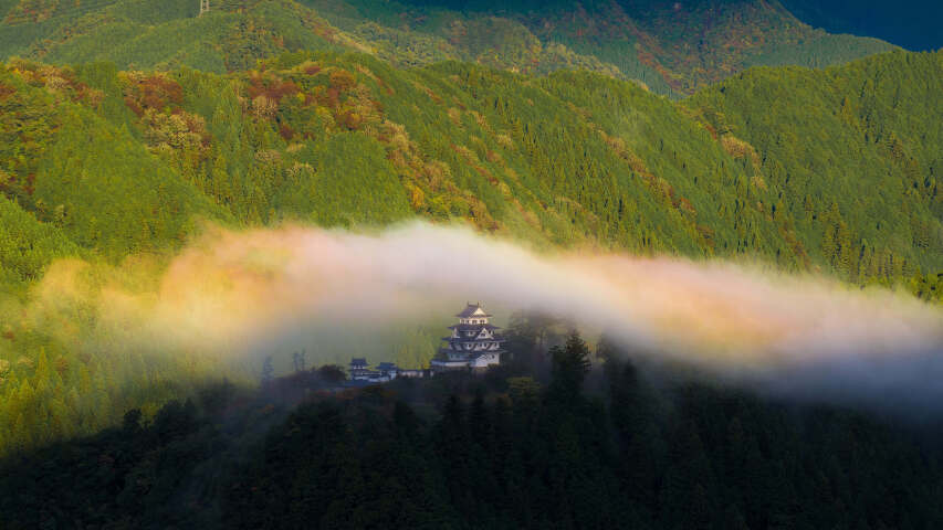 山上有一座大建筑，树木很多