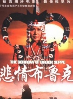 悲情布鲁克封面图