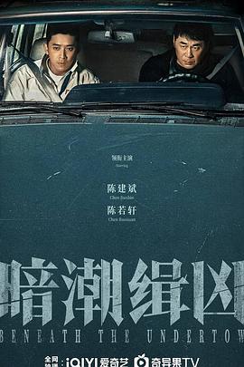 暗潮缉凶封面图