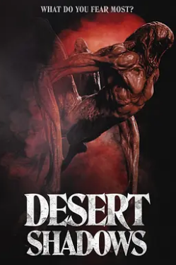 沙漠阴影封面图