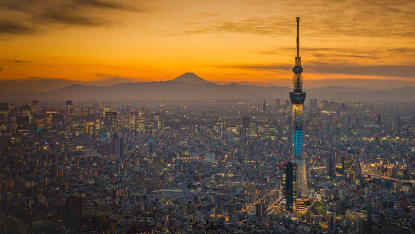 远处有高塔和山的城市