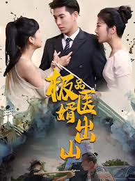 极品医婿出山封面图