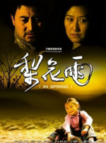 梨花雨封面图