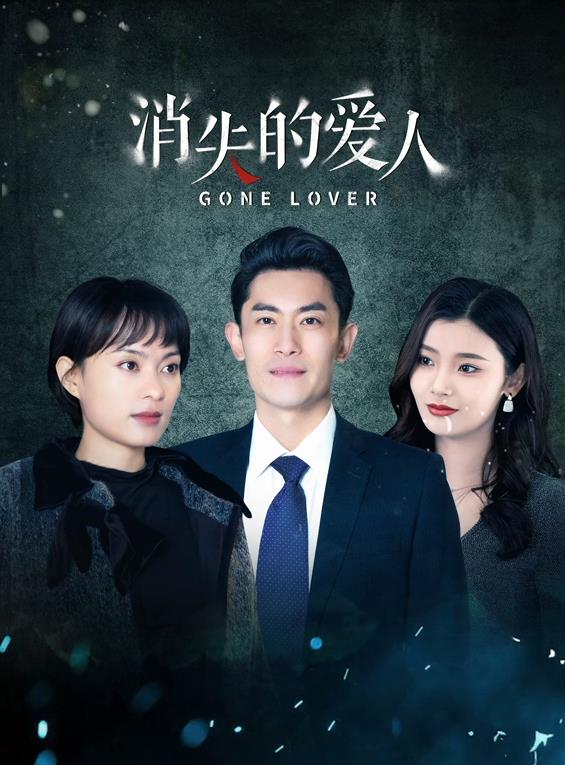 消失的爱人封面图