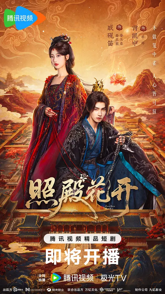 照殿花开封面图