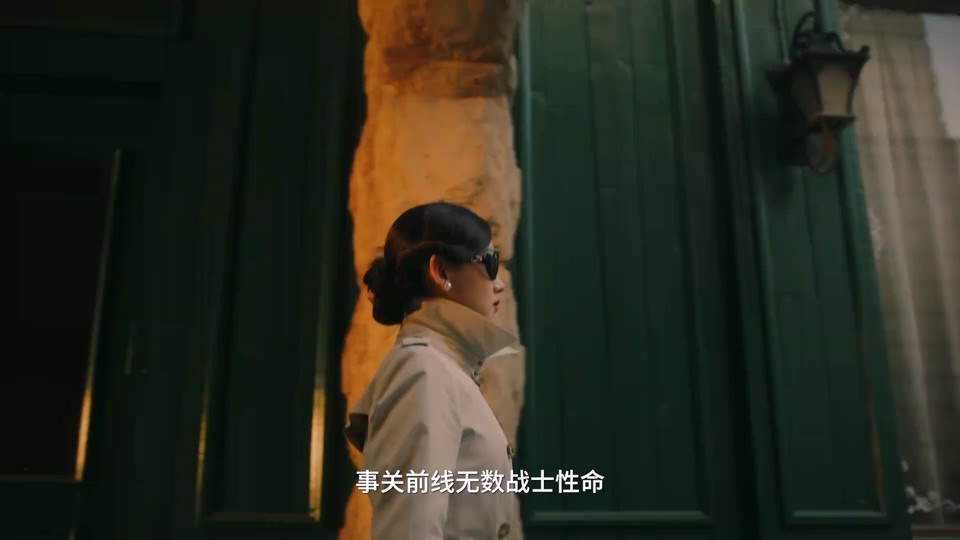 2024短剧《赵小姐的日记》12集全.HD1080P.国语中字截图