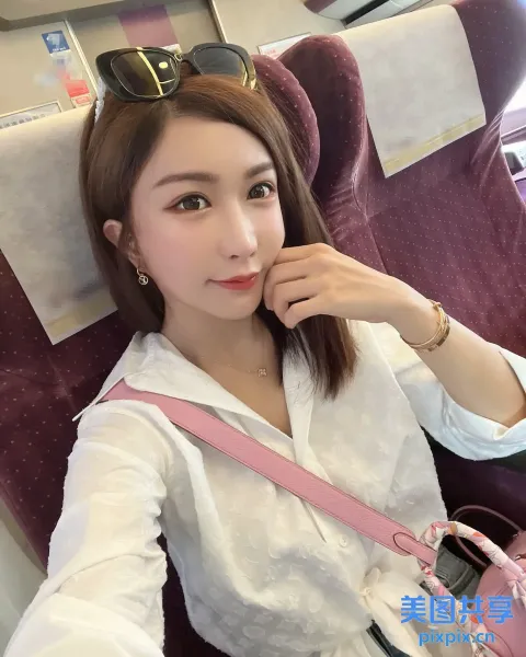 坐在火车上的阿拉菲女人，手里拿着粉红色的钱包和太阳镜