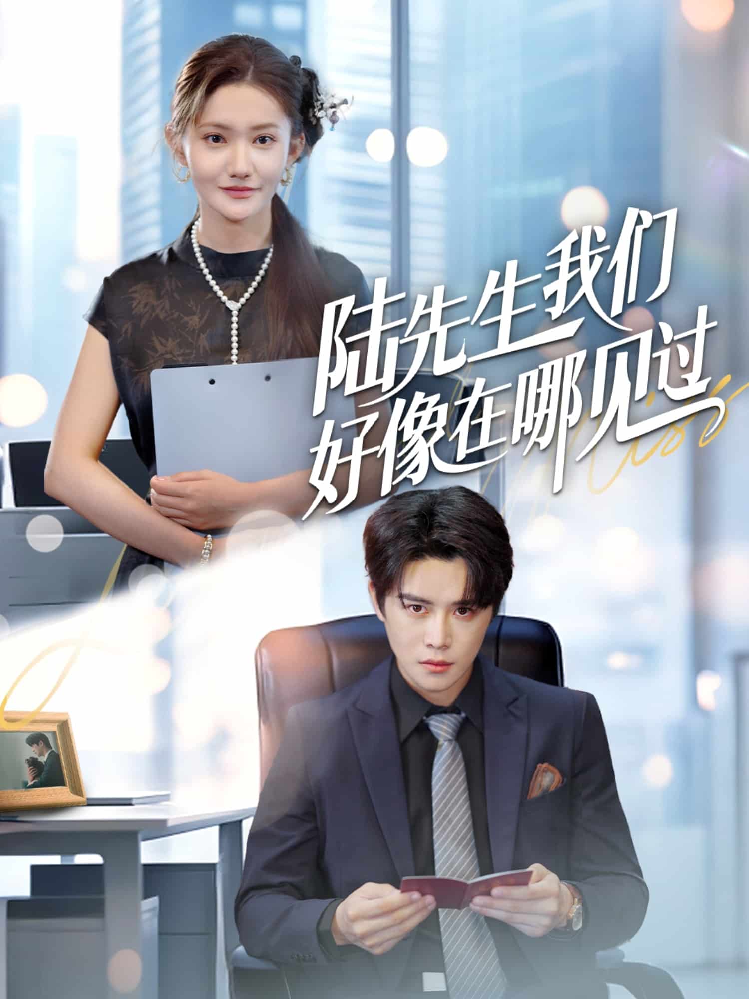 陆先生我们好像在哪见过封面图