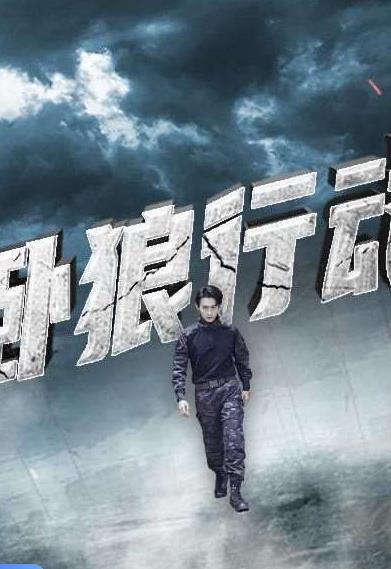 卧狼行动封面图