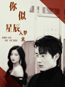 你似星辰入梦来封面图