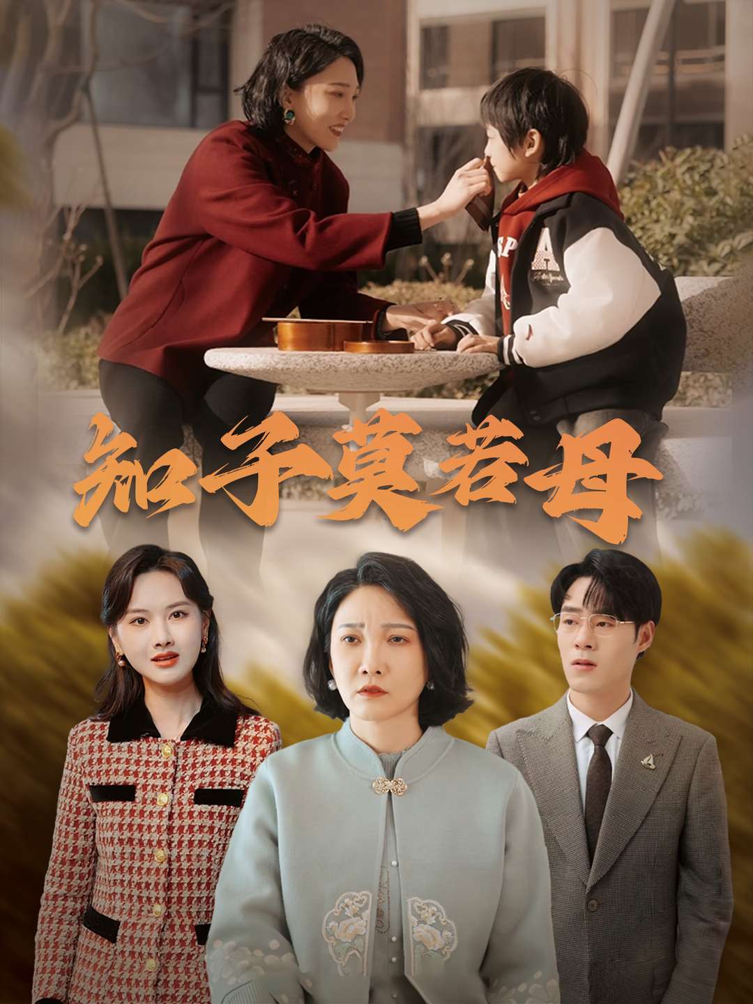 知子莫若母封面图