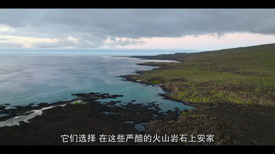 2024纪录片《我们的海洋》5集全.HD1080P.英语中字截图;jsessionid=HEhbSdxQefNwEd-1_H4ZdryzauQInXjq7i0gdX5L