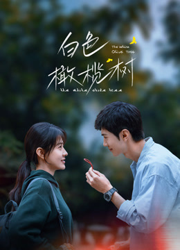 白色橄榄树封面图