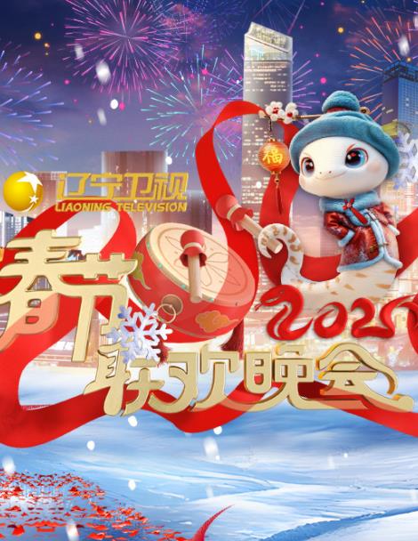 辽宁卫视春晚封面图