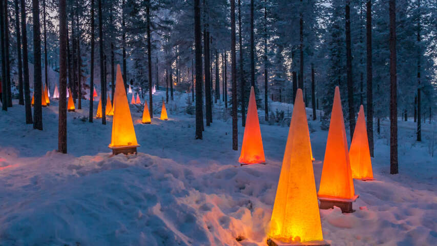 雪中有许多黄色的锥体