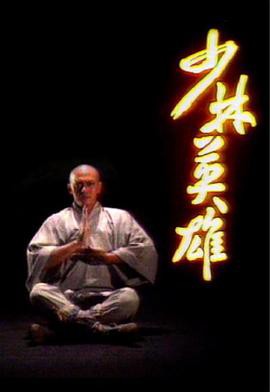 少林英雄王伟版国语封面图