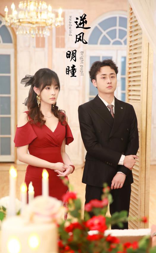 逆风明瞳封面图