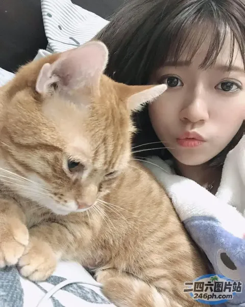 有个女人躺在床上，腿上抱着一只猫