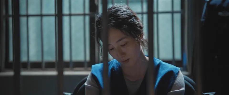 2025国剧《正当防卫》更至05集.HD1080P.国语中字截图