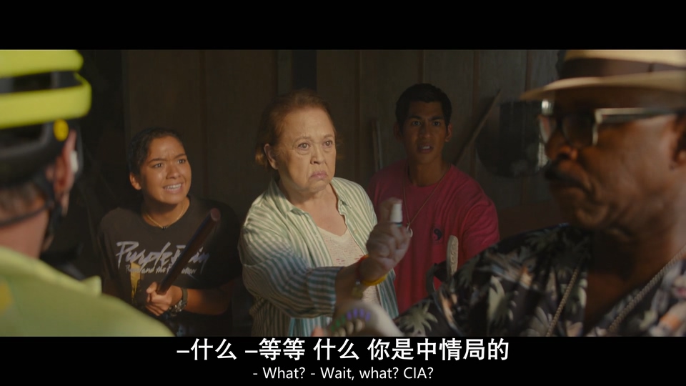 2025奇幻动作《星际宝贝史迪奇》BD1080P.英语中英双字截图