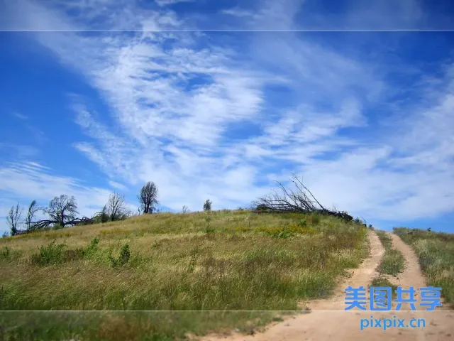 阿拉菲德土路，山顶有一片长满青草的山丘和一棵树