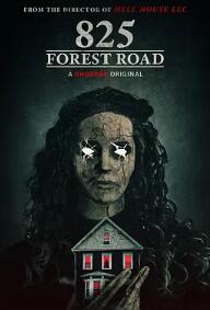 林荫路825号封面图