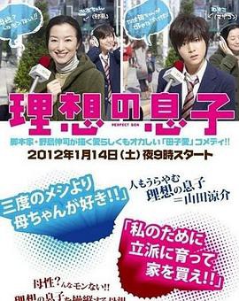 理想的儿子封面图