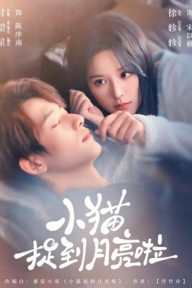 小猫捉到月亮啦封面图