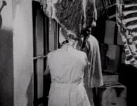 杀神色魔医生封面图