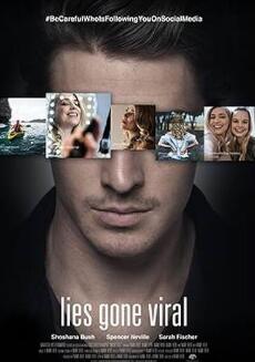 谎言之网封面图