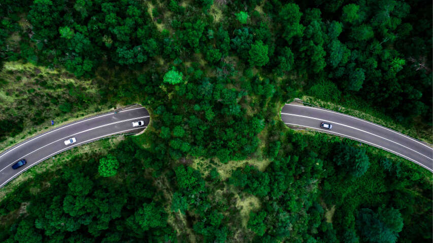两辆汽车在森林中间的道路上行驶的鸟瞰图