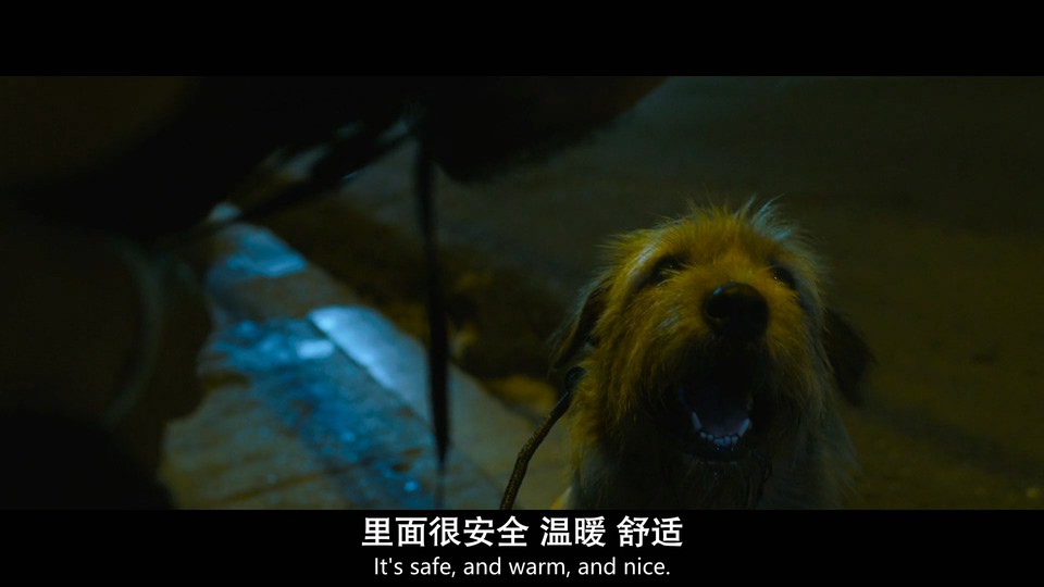 2024美国冒险《冠军亚瑟》HD1080P.英语中英双字截图;jsessionid=l_g2sagCjBCcKeA8pB7j-cuOuViORRChwJilh1Dn