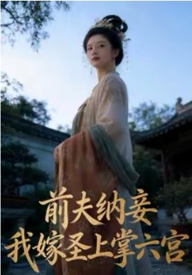 前夫纳妾，我嫁圣上掌六宫封面图
