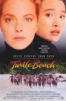 龟滩沥血封面图