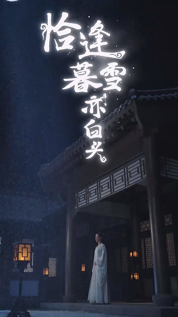 恰逢暮雪亦白头封面图