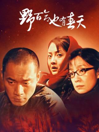 野百合也有春天封面图