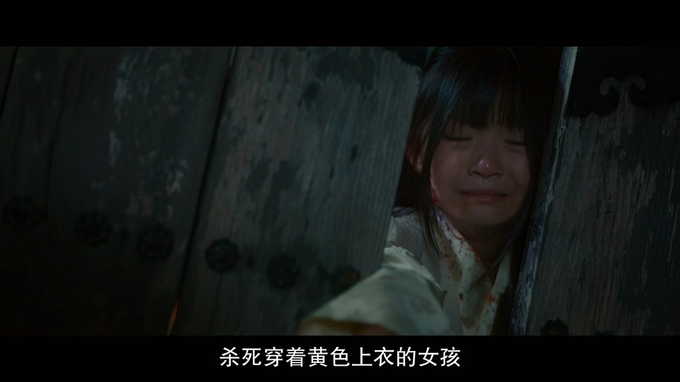 幻像恋歌剧照