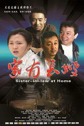 家有长嫂封面图